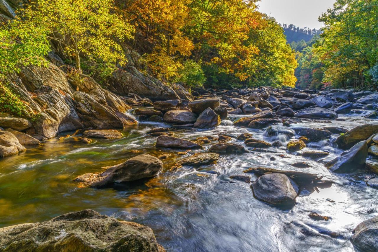 Your Mountain Escape Whispering Pines 244 Daire Pigeon Forge Dış mekan fotoğraf