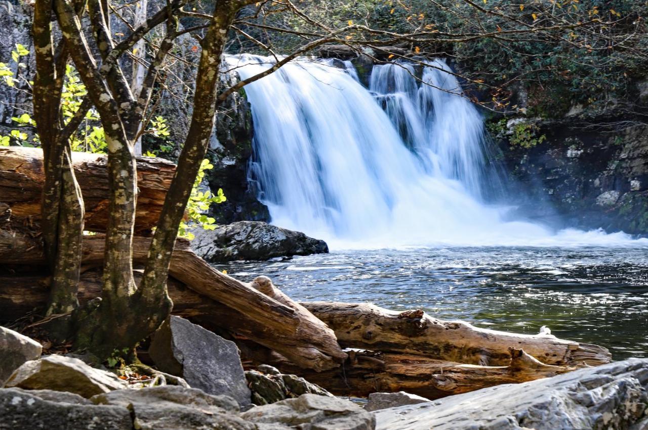 Your Mountain Escape Whispering Pines 244 Daire Pigeon Forge Dış mekan fotoğraf